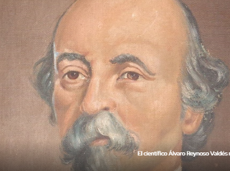 Álvaro Reynoso